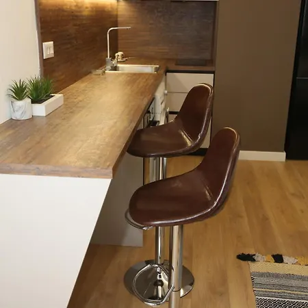 Treni Centrum Apartamento *